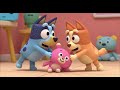 Bluey and Bingo’s Silly Costume Parade Story &amp; More Stories