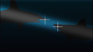 great hammerhead shark vs bull shark