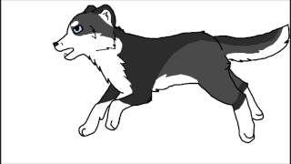 Wolf Run Cycle