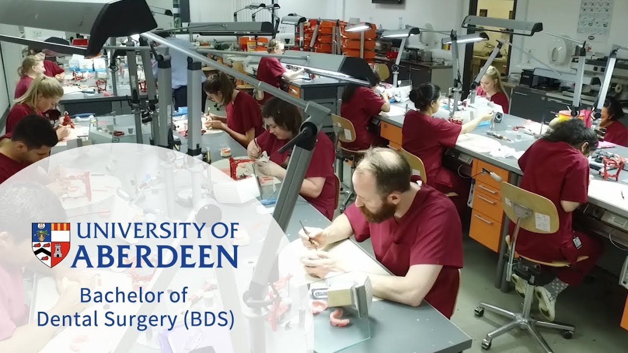 Dentistry | Undergraduate Degrees | Study Here | The University of Aberdeen