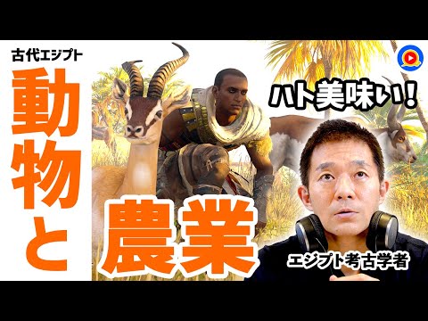 カバはヤバい!古代エジプトの動物と農業【アサクリ】