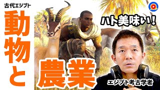 カバはヤバい！古代エジプトの動物と農業【アサクリ】