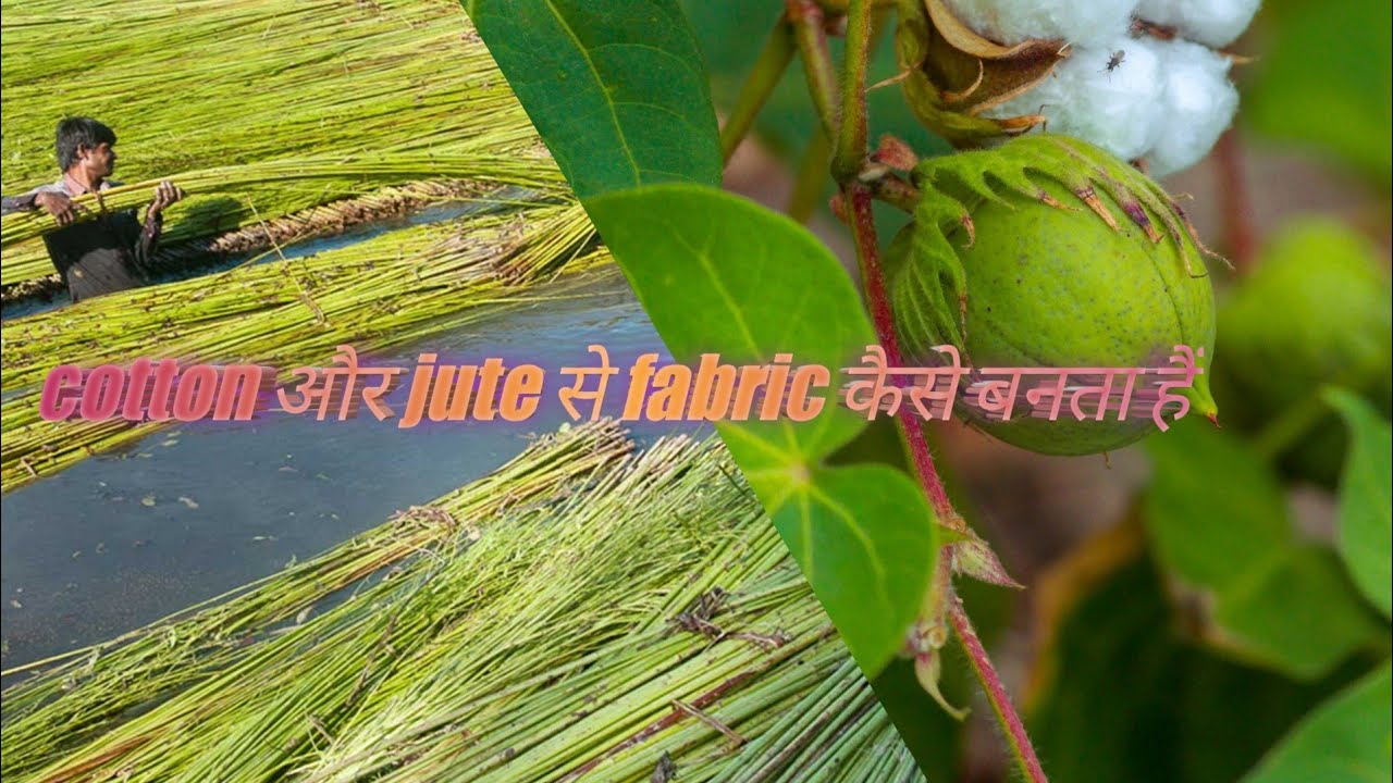 Cotton And Jute Se Fabric Kaise Banta Hai?? Fiber to Fabric Process!!