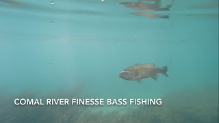 Comal River Finesse Bass Fishing