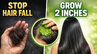 Ber Ke Patte Se Hair Growth Stop Hair Fall & Get Long Hair Fast 100% Natural Remedy