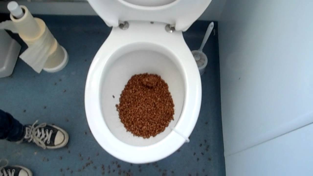 Is it safe to flush food (especially rice) down the toilet?