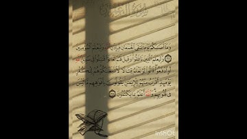 سوره آل عمران عدد آياتها ٢٠٠ آيه (سوره مدنيه ) من الآيه ١٦٦ إلي الآيه ١٦٧