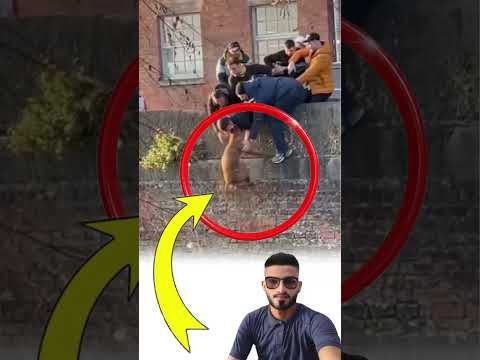 لحظة إنقاذ مدهشة تكشف أعظم معاني الإنسانية والشجاعة لايك متابعه ترند 