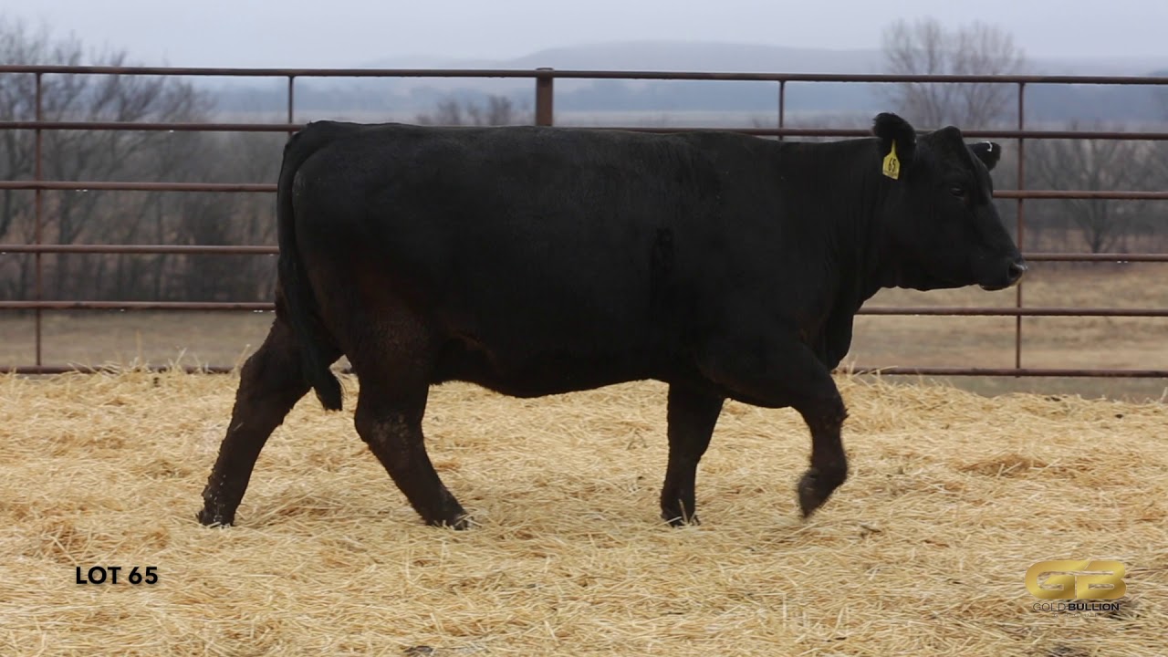 Lot 65 Gold Bullion Group YouTube