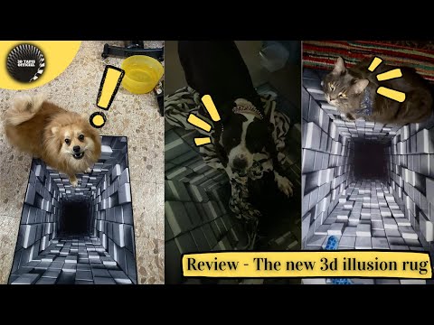 Review of the