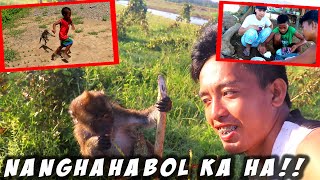 BUHAY BUKID-PAGKUHA NG GAGAWING LABABO AT PANGGATONG-HINALIKAN NI YONGEE SI PAKWAN