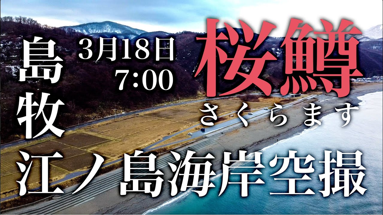桜鱒釣り 3月18日 北海道 島牧村 18番 空撮 海サクラマス Youtube