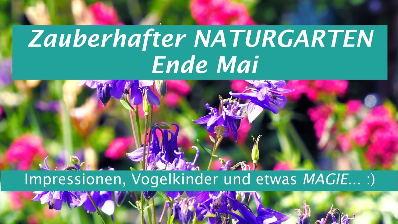 Zauberhafter NATURGARTEN Ende Mai - Impressionen, Vogelkinder und etwas Magie...
