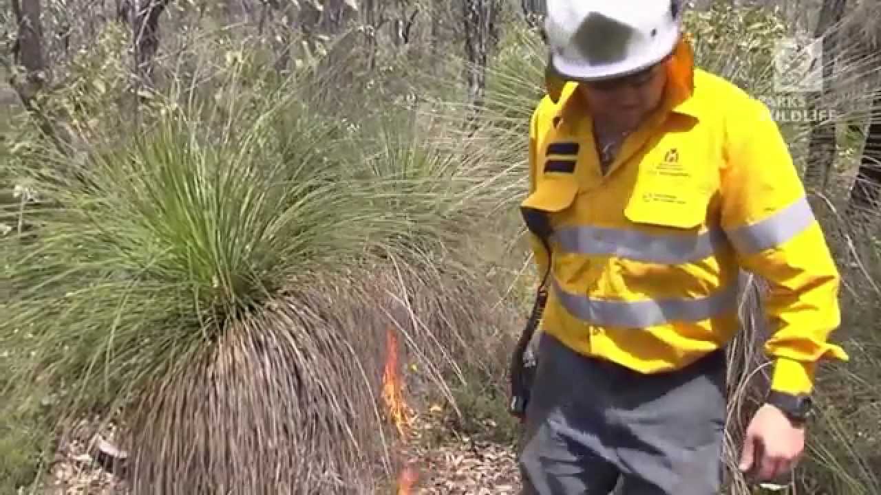 4. Evidence for prescribed burning YouTube