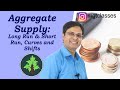 Aggregate Supply – Long Run & Short Run, Curves and Shifts (Hindi)