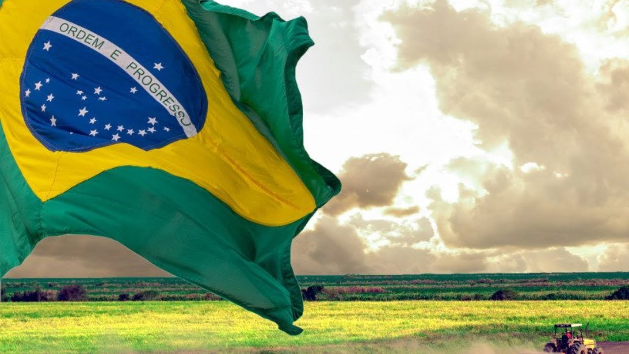 AGRONEGÓCIO BRASILEIRO: VITAL PARA O FUTURO DO BRASIL E DO MUNDO! - YouTube