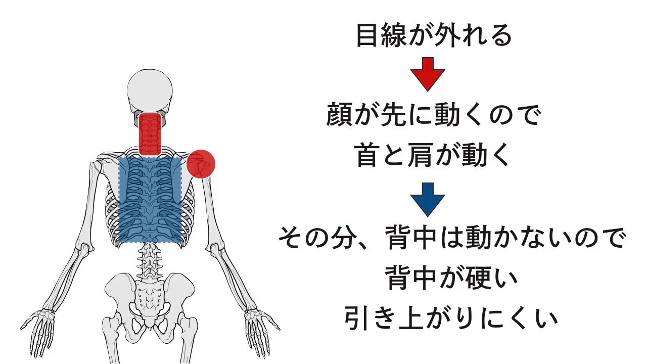 背中の硬さをとって引き上げるコツ あなたのバレエライフを応援したい バレエジャポン