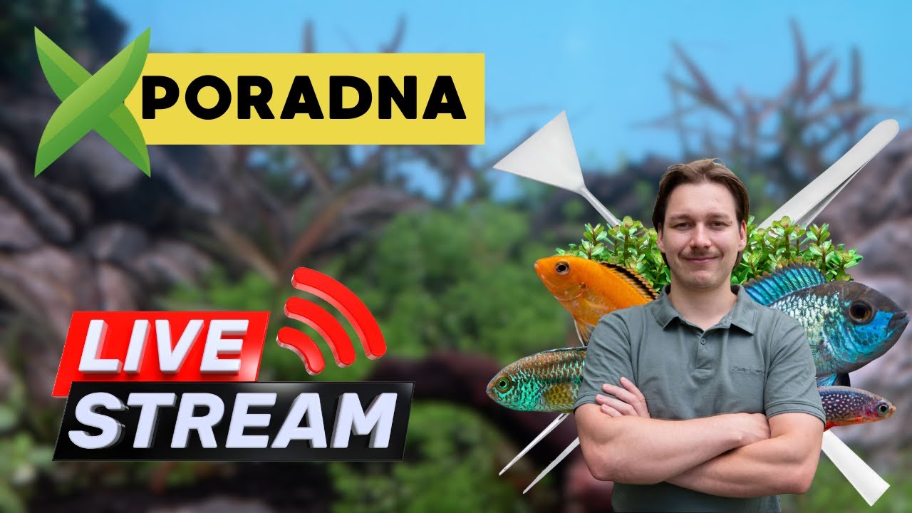 AkvaX Poradna 25.2.2025