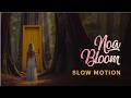Noa Bloom - Slow Motion (Official Lyric Video)
