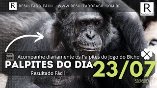 Download Lagu Palpite do dia 23/07/2025 Jogo do Bicho - Resultado Fácil MP3 Download Lagu Palpite do dia 23/07/2025 Jogo do Bicho - Resultado Fácil MP3