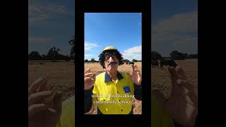 Pretending to rehabilitate forests is our specialty. #alcoa#endforestmining  #savetheblackcockatoos