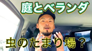 虫が出る原因は実は庭orベランダが原因だった？！【初心者向け】