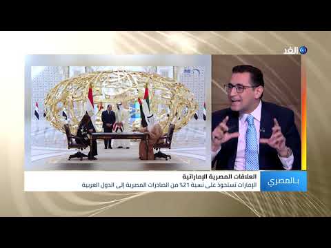 أكاديمي المنصة الاستثمارية المصرية الإماراتية تعد ترجمة حقيقية للعمل العربي المشترك