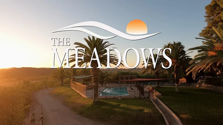 Overview of The Meadows: Treatment for Addiction, ...