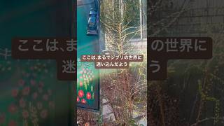 まるでジブリの世界🍃に迷い込んだようなカフェ🍯韓国🇰🇷ドトリガーデン安国店DOTORI　GARDEN　 #cafe #韓国旅行 #カフェ巡り