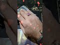 عوده توام الروح تاروت شاهين حب حبيبي قلب قلبي طاقه ايجابيه حب شخص قادم عوده توام الروح تاروت شاهين حب حبيبي قلب قلبي طاقه ايجابيه حب شخص قادم