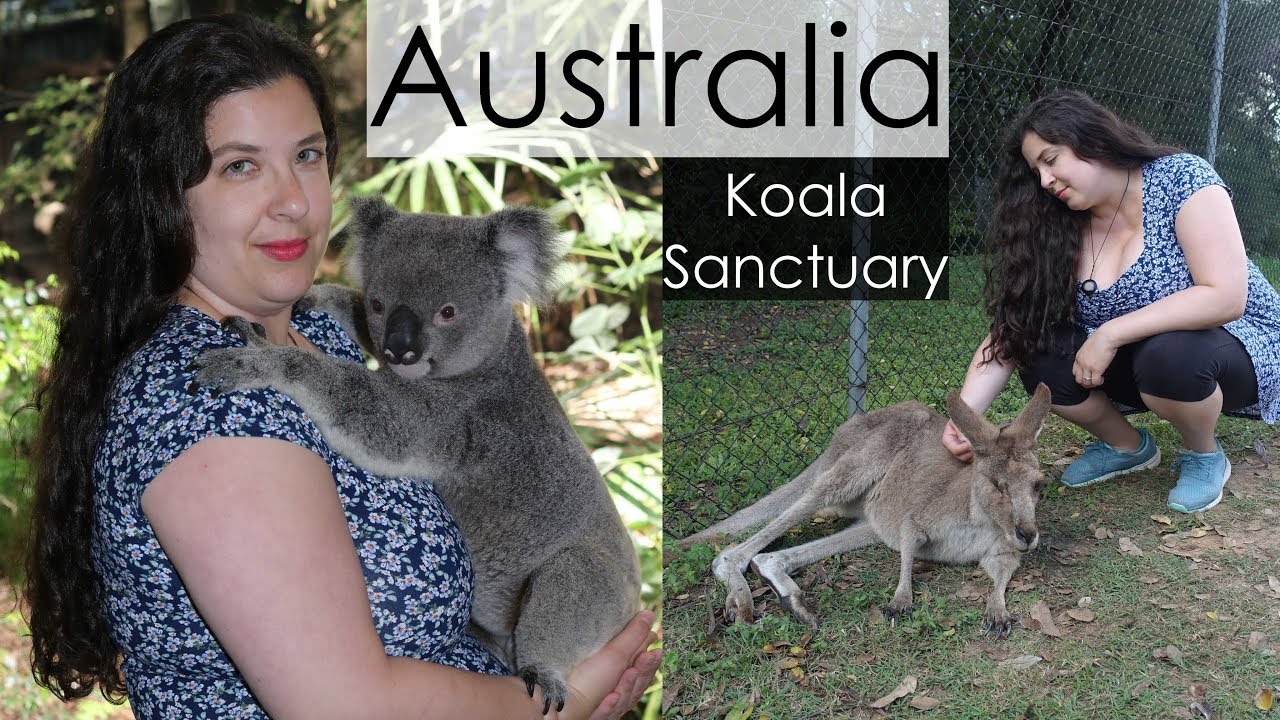 Australian Animals // Visiting Brisbane Koala Sanctuary