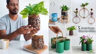 5 Desk Plant Ideas \& Hanging Plants Ideas Using Waste Material for Your Office Space\/\/GREEN PLANTS