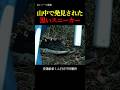 また“物だけ”見つかった。靴が出た場所が、おかしい。京都小6行方不明事件の不可解な謎…｜小5男児行方不明事件