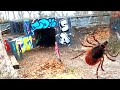 Hidden Tunnel In The Forest & Tiny Jerks: Metal Detecting NYC