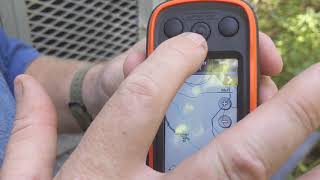 Feist Dog Training - Garmin Alpha TT 15 minis.