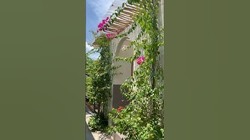 Thiết kế quán cafe nhỏ  | Dconcept Architects #dconcept #design