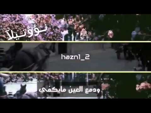 داني دان