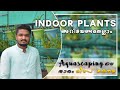 Indoor plants and Aquascaping - Part I (ഇൻഡോർ ചെടികൾ അറിയേണ്ടതെല്ലാം!)