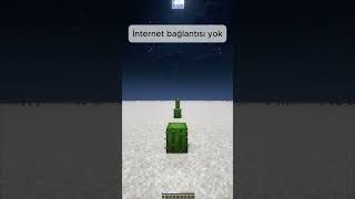 Minecraftta Internet Kesildi