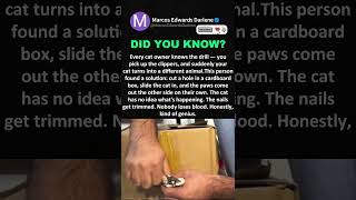 This Is The Genius Hack For Trimming A Cat’s Nails #pettips #petsafety #catmemes #funnycatvideos