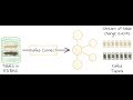Real-Time ETL (ELT) with Kafka connect; change data capture from mysql to sql server.
