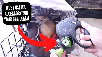 Most Useful Accessory For Your Dog Leash - Flexi Dog Leash Poop Bag Holder Review