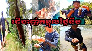 ដើបាញ់កន្តុលធ្វើម្ហូបថ្ងៃនឹង😘mouse, mickey mouse,  The secret life of my Hamster