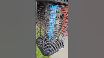 What Happens If You Forget To Turn Off Your Bug Zapper? #shorts