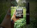 Rekomendasi Printer Thermal Portable Termurah Cetak Resi Atau Kasir Rekomendasi Printer Thermal Portable Termurah Cetak Resi Atau Kasir