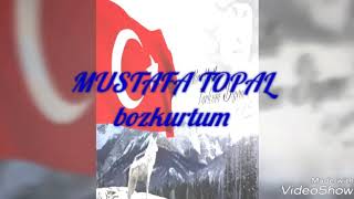 Mustafa Topal Bozkurt