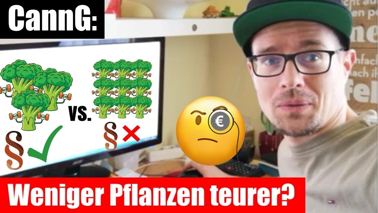 Wie ich meine ERNTE - mit 3 PFLANZEN deutlich STEIGERN kann | GreenBasic 5 | Q\u0026A | GreenConnection