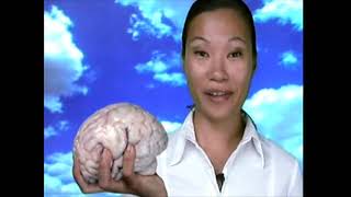 Itv 2 - Bionic Woman 2 , Adverts Commercials Continuity , 2008