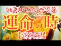 【運命❤️】恋愛が動き出す❤️いよいよ運命の時❤️本当の運命にあなたは出逢う❤ソウルメイトだから❤過去世から呼びあったから