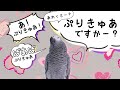 ずぅちゃんがプリキュアにハマったら、アレクサが狂った。
